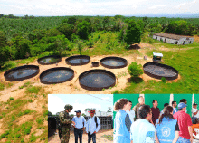 cogfm-ejc-proyectos-productivos-catatumbo-14.gif
