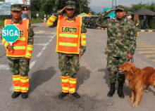 cogfm-ejc-seguridad-control-institucional-territorio-11.gif