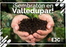 cogfm-ejc-sembraton-arboles-valledupar-23.jpg