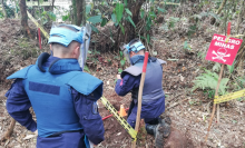 cogfm-ejercito-desminado-humanitario.jpg
