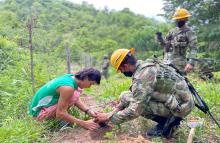 cogfm-ejercito-ftvulcano-catatumbo-operacion-artemisa-siembra-arboles-tibu-norte-santander-18.jpg