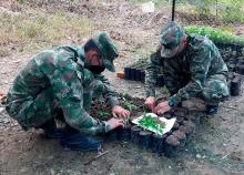 cogfm-ejercito-nacional-batallon-ingenieros-comprometidos-con-medio-ambiente-norte-santander-23.jpg