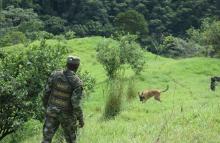 cogfm-ejercito-nacional-neutraliza-10-artefactos-explosivos-con-el-desminado-militar-en-murindo-antioquia-17.jpg