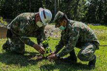 cogfm-ejercito-nacional-plan-de-contencion-contra-la-deforestacion-01.jpg