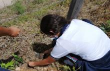 cogfm-ejercito-nacional-siembra-arboles-en-corregimiento-los-canelos-sur-de-bolivar-26.jpg