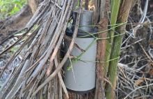 cogfm-ejercito-nacional-ubica-y-neutraliza-minas-antipersonal-en-arauquita-arauca-06.jpg
