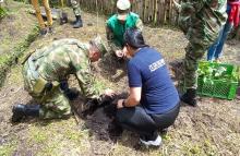 cogfm-ejercito-nacional-vereda-villa-mercedes-en-piendamo-cauca-es-ahora-una-vereda-modelo-del-ejercito-nacional-08.jpg