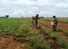 cogfm-ejercito-operacion-artemisa-medio-ambiente-vichada-11.jpg