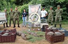 cogfm-ejercito_nacional_continua_aportando_en_la_proteccion_de_la_fauna_del_departamento_de_cordoba-07.jpg