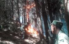 cogfm-extincion-incendio-boyaca-28.jpg