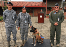cogfm-fac-canino-antiexplosivos-nany-20.gif