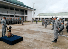 cogfm-fac-homenaje-canino-naomi-yoshitora-15.gif