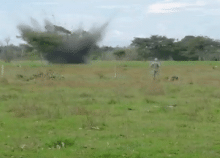 cogfm-fac-pistas-ilegales-caqueta-26.gif