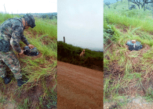 cogfm-ffmm-omega-neutralizacion-explosivos-06.gif