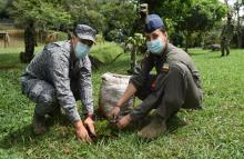 cogfm-fuerza-aerea-colombiana-continua-sembrando-vida-en-valle-cauca-11.jpg
