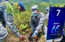 cogfm-fuerza-aerea-colombiana-jornada-siembra-de-arboles-valle-del-cauca-01.jpg