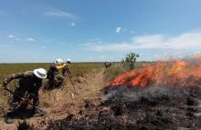 cogfm-fuerza-aerea-colombiana-junto-con-ejercito-nacional-apoyan-labores-extincion-incendio-emergencia-ambiental-parque-nacional-natural-el-tuparro-12.jpg