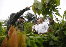 cogfm-presidencia-ffmm-ejercito-armada-fuerza-aerea-ponal-tumaco-erradicadores-manuales-cultivos-ilicitos-08.gif