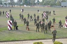 cogfm_curso_guia_canino.jpg