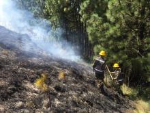 cogfm_incendio_forestal_antioquia.jpg