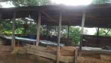 cogfm_laboratorio_sur_oriente_colombiano.jpg