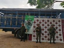fotografia_01_el_ejercito_nacional_ha_logrado_recuperar_402_semovientes_en_lo_que_va_corrido_del_ano_en_el_depatamento_de_arauca.jpeg