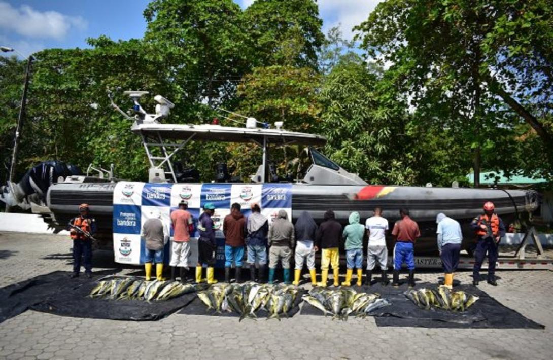 Armada de Colombia incauta más de 700 kilogramos de pesca ilegal