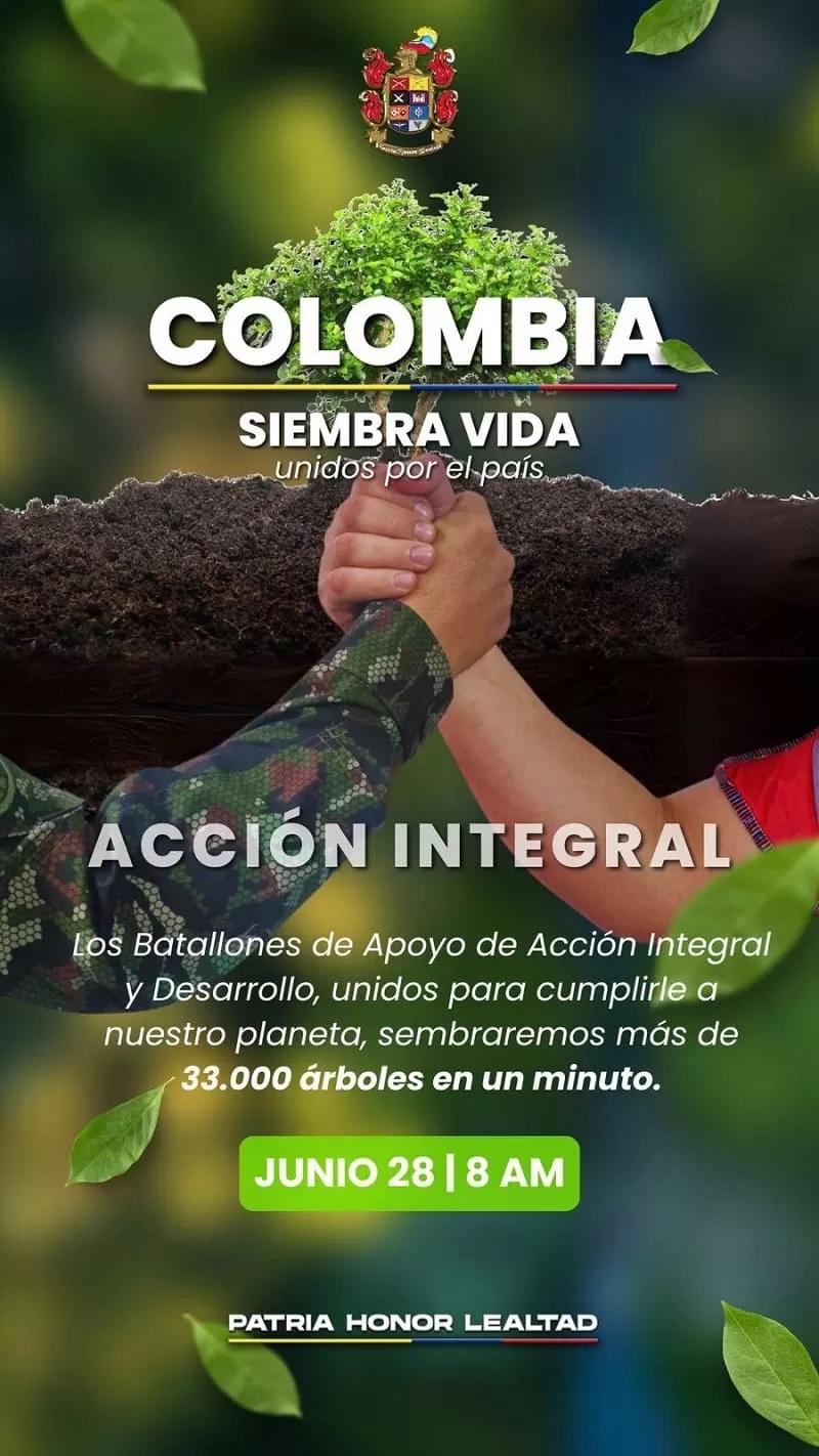 Histórica jornada de reforestación: Ejército Nacional siembra más de 33 mil árboles en un minuto