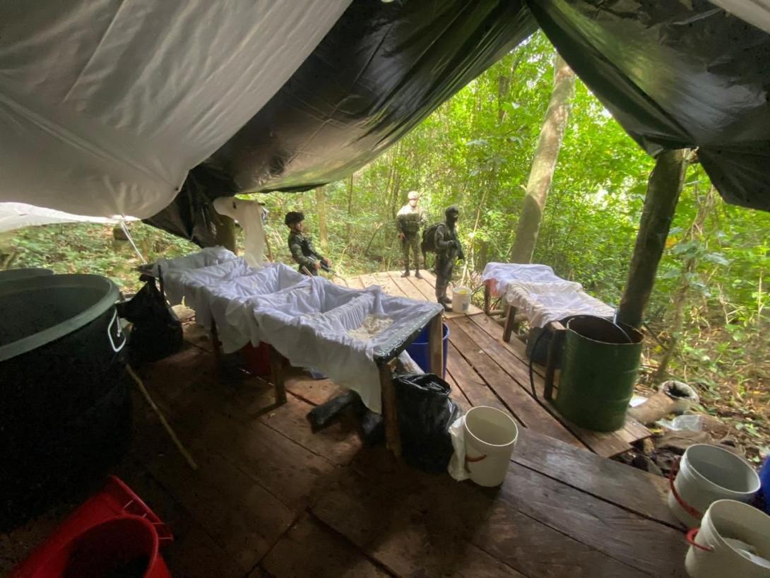 Ejército desmanteló complejo cocalero avaluado en más de 2.000 millones de pesos en Arboledas, Norte de Santander
