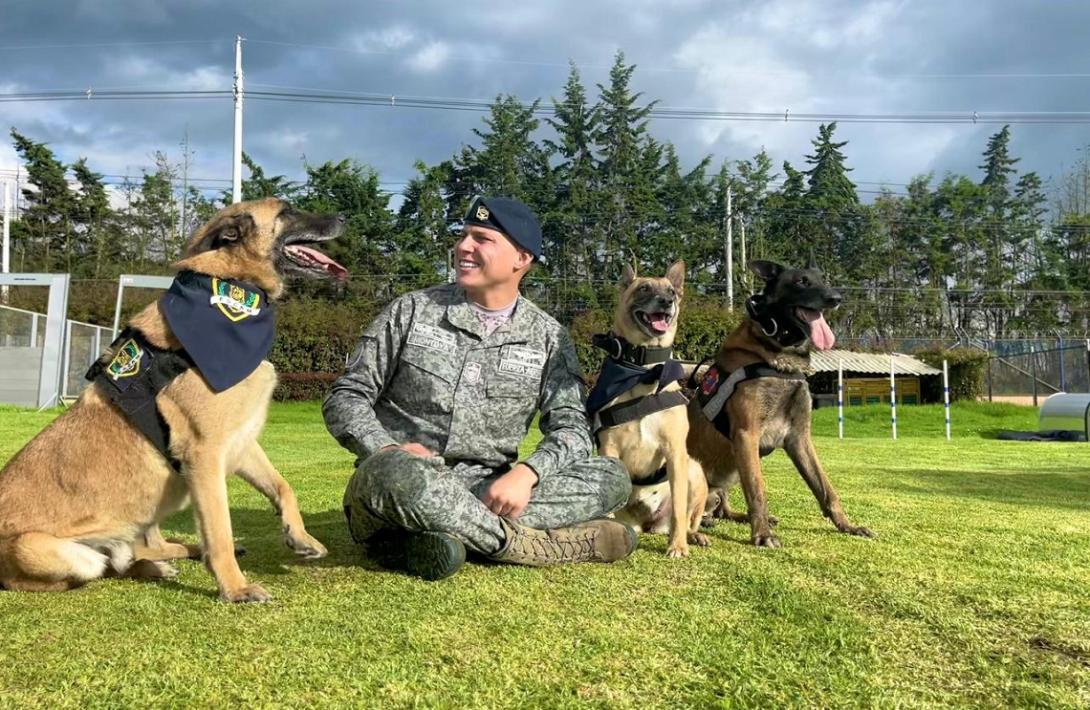 Carlos Andrés Montoya: primer etólogo militar especializado en bienestar animal