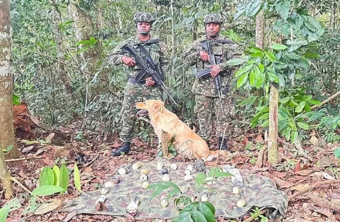 Ejército neutraliza área minada y ubica depósito ilegal con abundantes explosivos que serían utilizados mediante drones en Putumayo