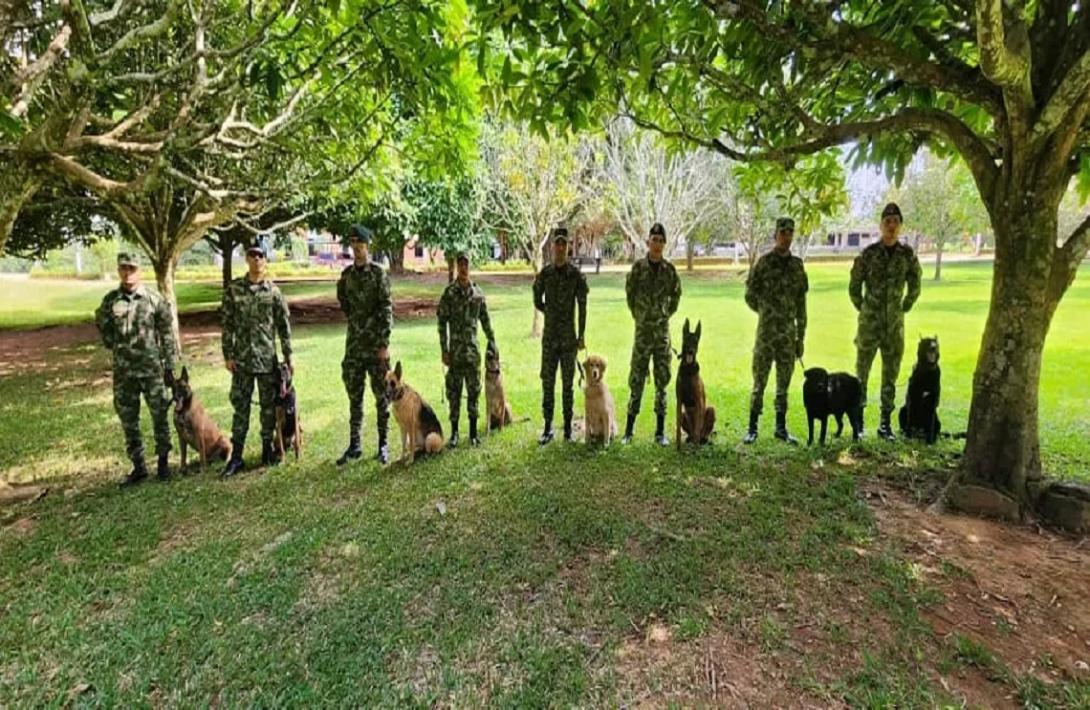 Ocho caninos realizan reentrenamiento antes de afrontar los desafíos en el área de operaciones