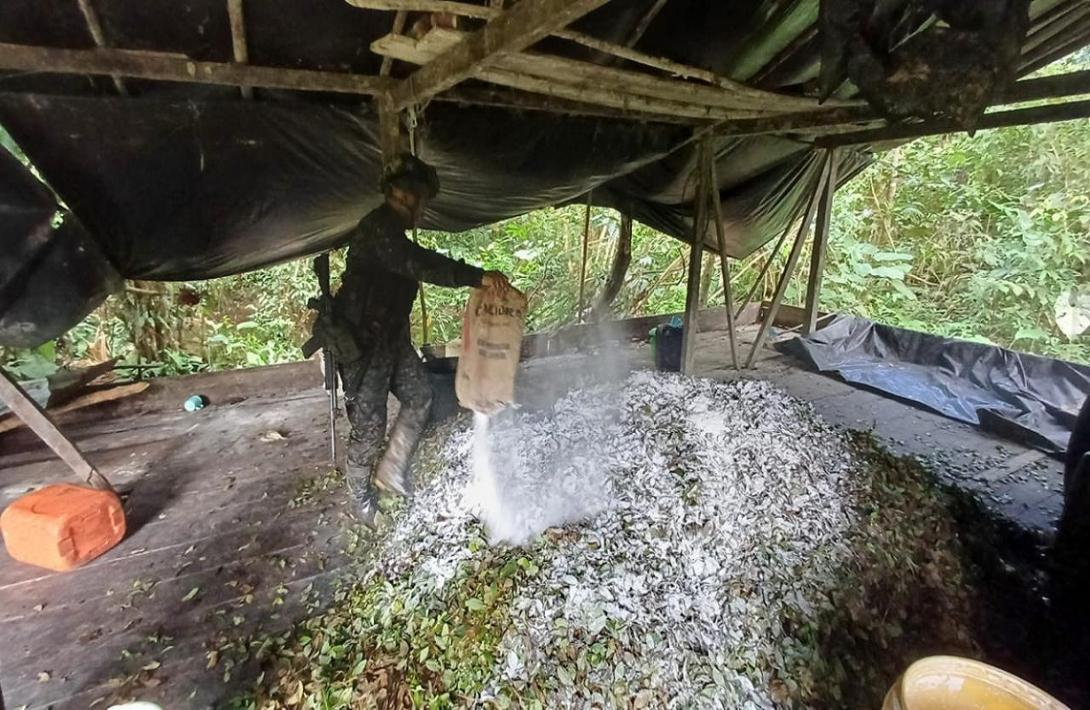 Redada contra el narcotráfico: Fuerzas Militares neutralizan cuatro laboratorios donde se producían más de seis toneladas de droga