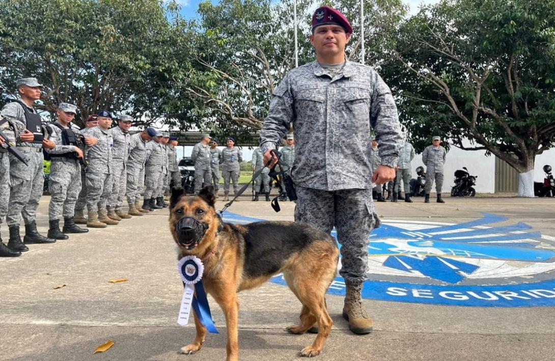 Despedida con honores a 'Lola': canino militar culmina su servicio a la nación