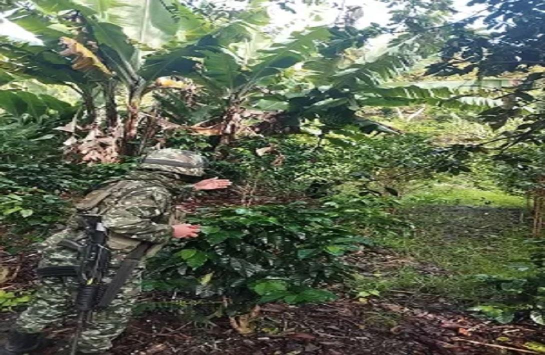 Ejército Nacional neutraliza artefactos explosivos a menos de 200 metros de la vía Panamericana en Nariño
