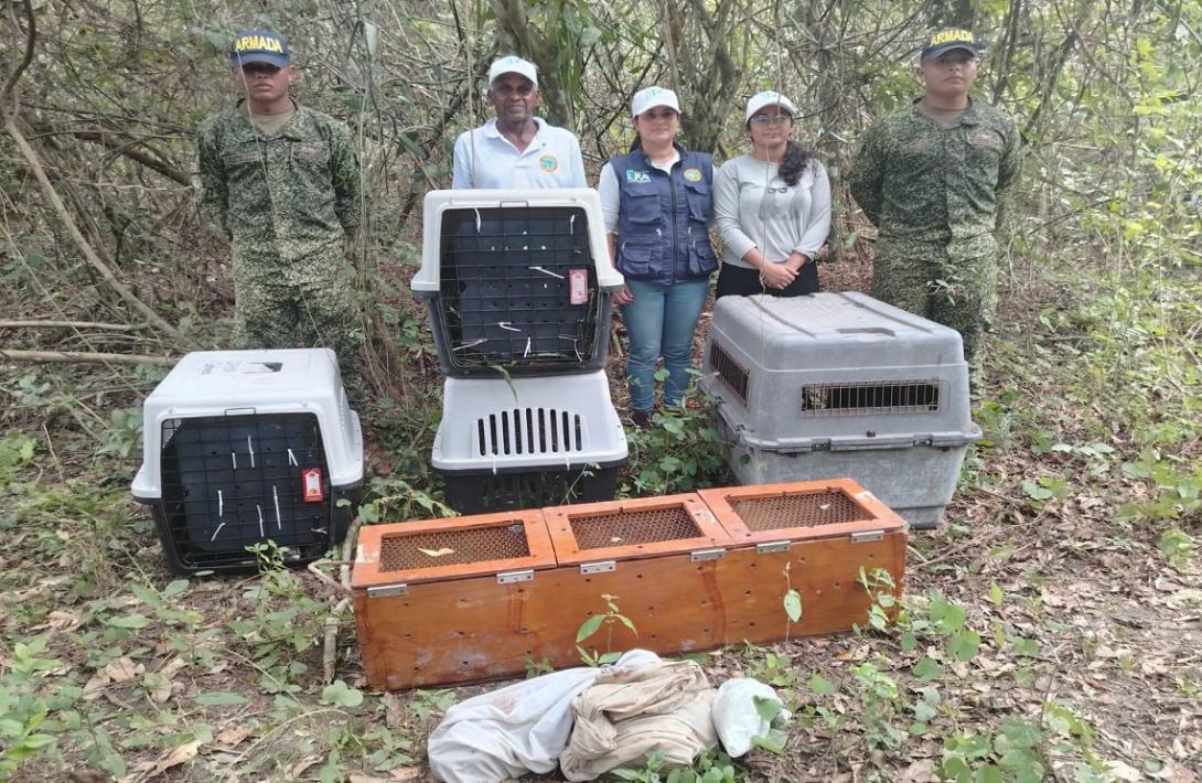 Liberados 31 animales silvestres que se encontraban en peligro