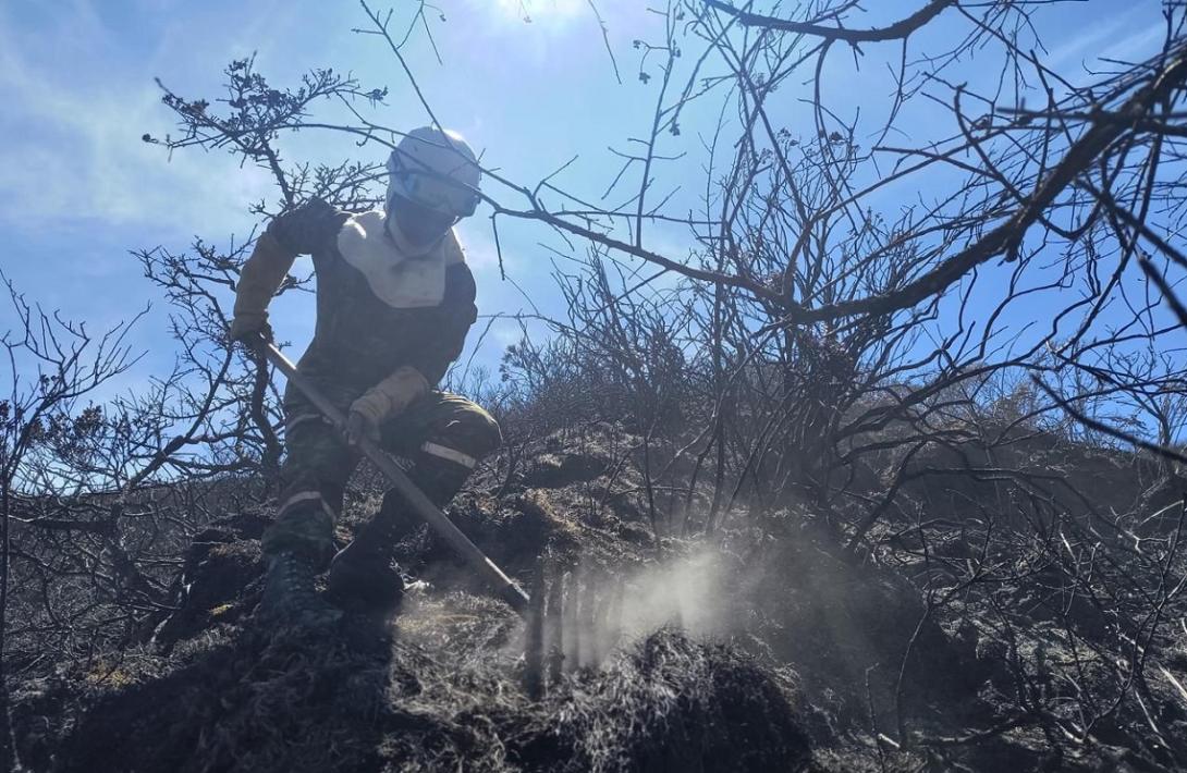 Ejército Nacional despliega sus capacidades diferenciales para atender el incendio en el Parque Natural Chingaza