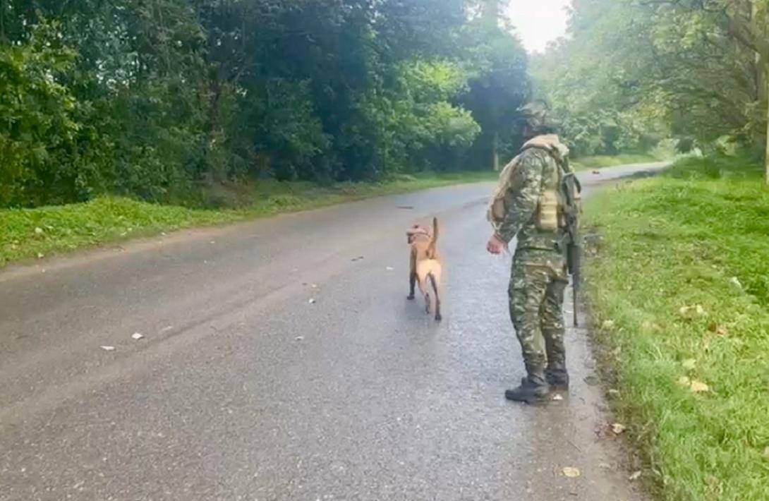 Ejército Nacional actúa con precisión: desactiva artefacto explosivo en Miranda, Cauca