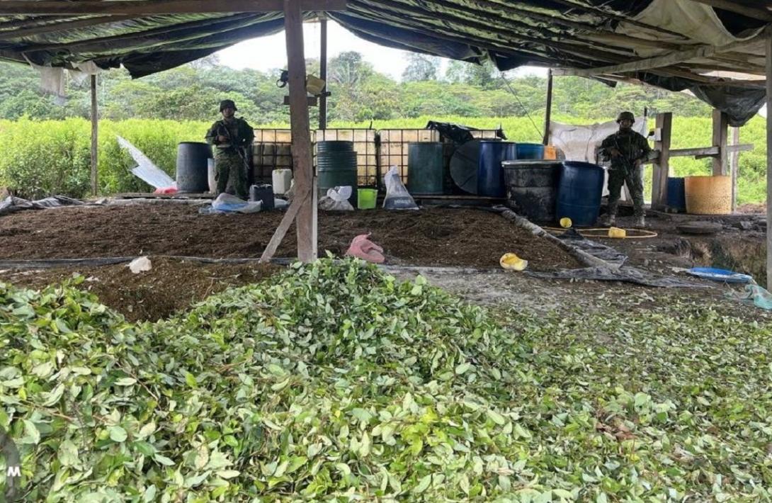 En el del Cauca, desmantelados siete laboratorios para el procesamiento de pasta base de coca