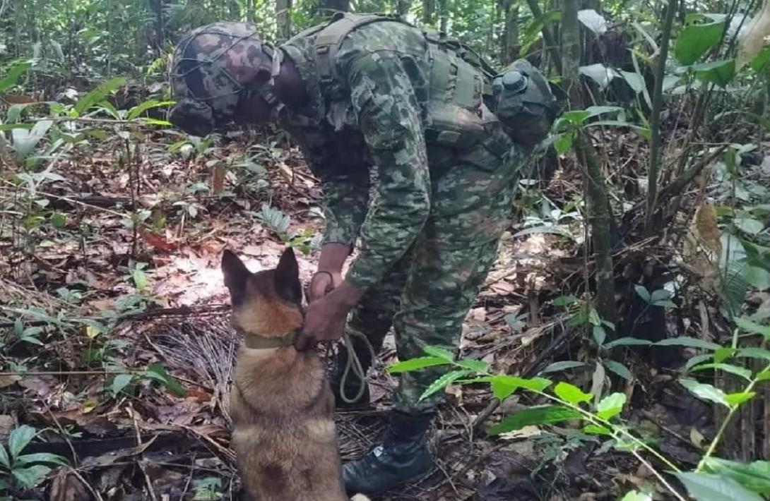 Ejército Nacional neutraliza artefacto explosivo en el departamento del Vaupés