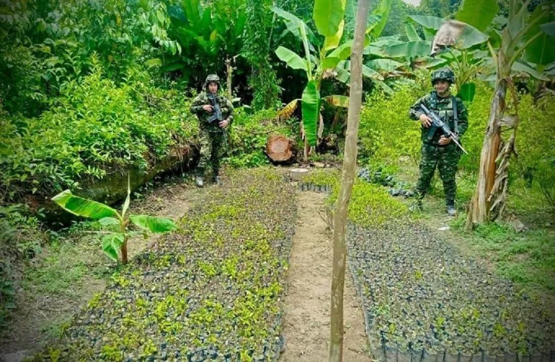 laboratorios ilegales fueron hallados en el Meta por el Ejército Nacional