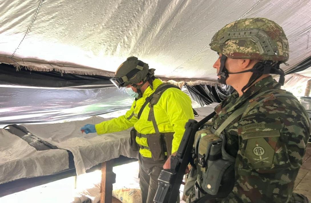Enclaves cocaleros, un ecocidio en la biodiversidad de Colombia: cómo el Ejército Nacional lo contrarresta