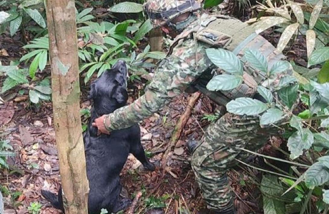 Ejército Nacional neutraliza mina antipersonal cerca de comunidad indígena en Vaupés