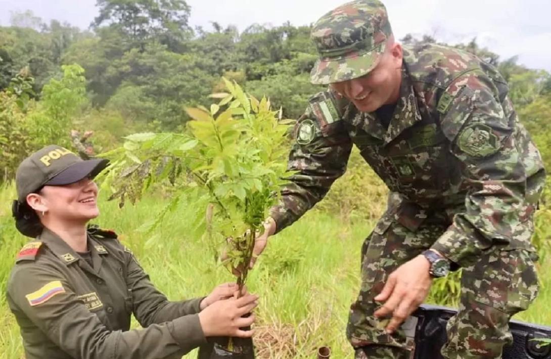 Ejército Nacional lidera siembra de 8.000 árboles en jornada ambiental en Meta y Guaviare