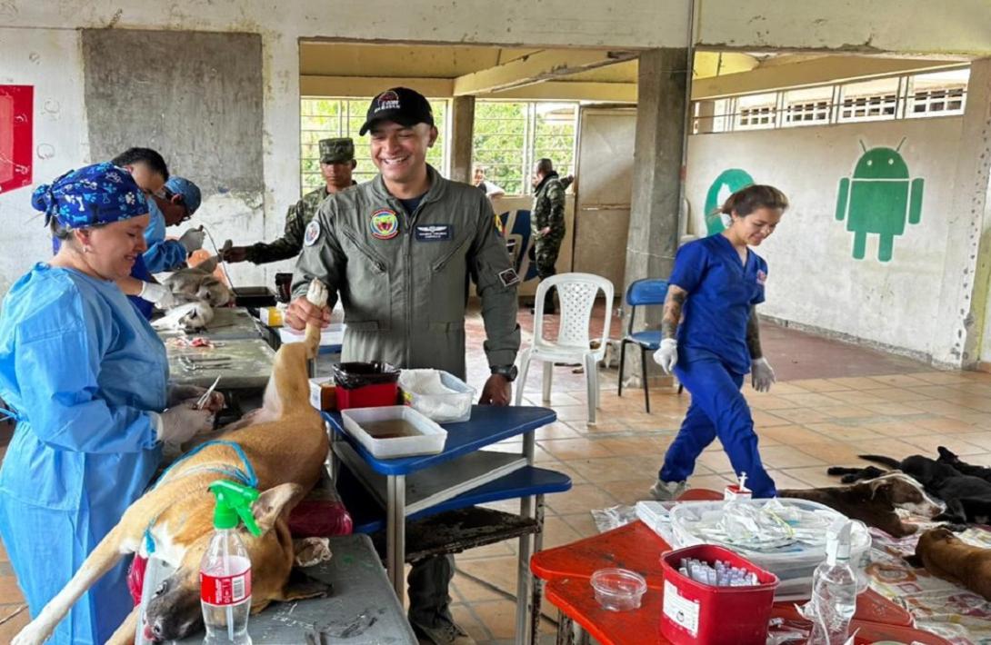 Jornada de esterilización fortalece bienestar animal en Tarapacá