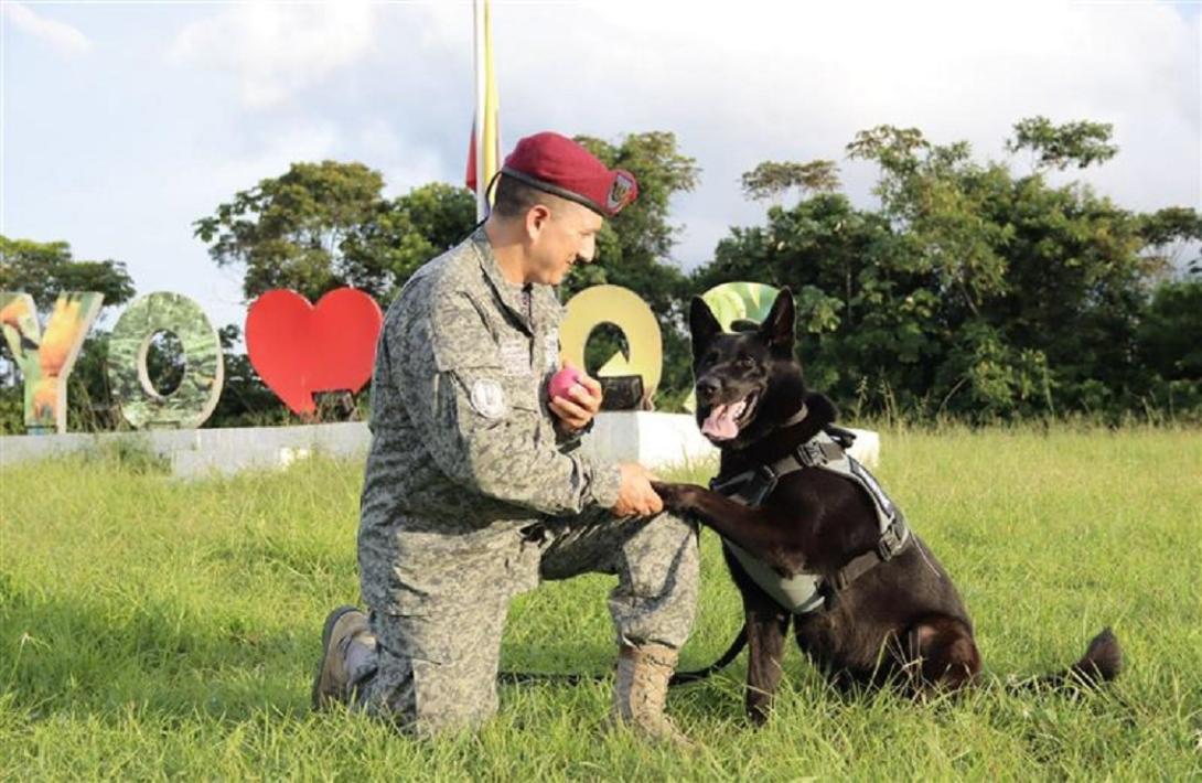 Guías caninos, un equipo estratégico para la seguridad y protección del país