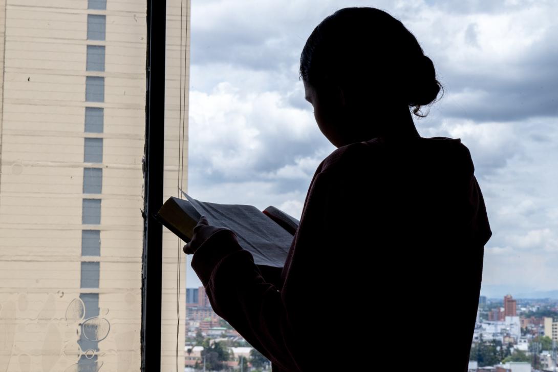 Avanza la desmovilización y sometimiento de integrantes de grupos armados con acompañamiento integral del Estado