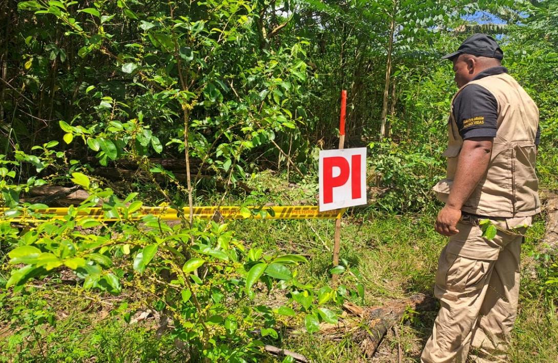 Agustín Codazzi: Tierra de café, cacao, ganadería… tiene una zona libre de sospecha de minas antipersonal