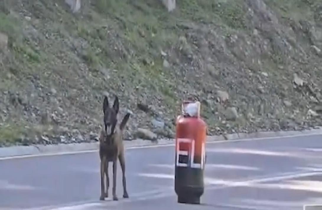 Neutralizada acción terrorista en la vía Cúcuta-Pamplona, Norte de Santander