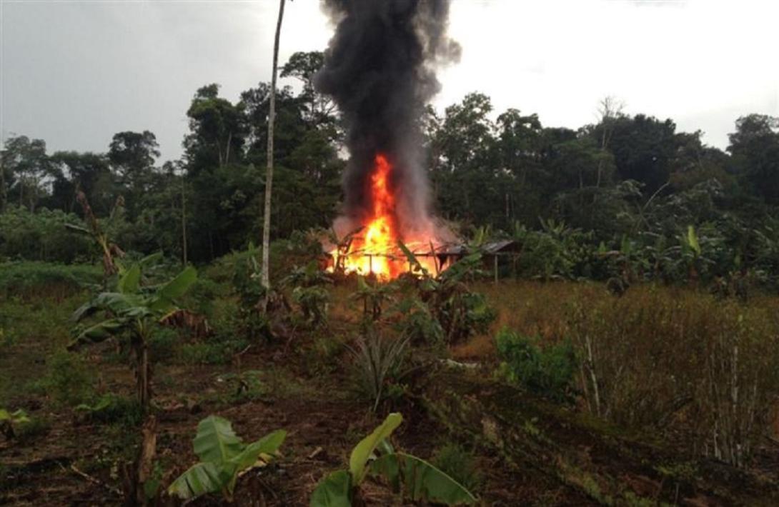 Laboratorio para procesamiento de coca fue destruido en Cumaribo